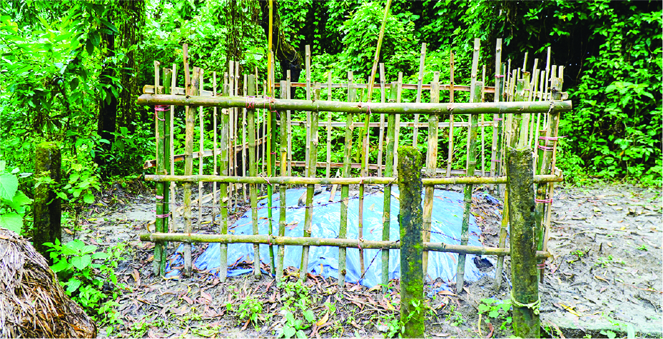 Image of মো: মোজাক্কির মিয়া